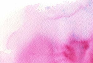 Interessengemeinschaft Schiersteiner Wochenmarkt e.V. — Frühling 2025 – Interessengemeinschaft Schiersteiner Wochenmarkt e.V., Schiersteiner Leben Frühling 2025, Wiesbaden-Schierstein