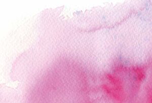 Wiesbadener Aquarienverein Amazonas e.V. — Herbst 2023 – Wiesbadener Aquarienverein Amazonas e.V., Schiersteiner Leben Herbst 2023, Wiesbaden-Schierstein