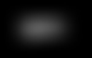 Wiesbadener Aquarienverein Amazonas e.V. — Winter 2022 – Wiesbadener Aquarienverein Amazonas e.V., Schiersteiner Leben Winter 2022, Wiesbaden-Schierstein