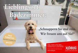 Volkshochschule Schierstein — Sommer 2024 – Volkshochschule Schierstein, Schiersteiner Leben Sommer 2024, Wiesbaden-Schierstein