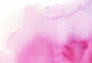 Förderverein Hafenschule e.V. — Sommer 2024 – Förderverein Hafenschule e.V., Schiersteiner Leben Sommer 2024, Wiesbaden-Schierstein