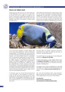 Wiesbadener Aquarienverein Amazonas e.V. — Ostern 2026 – Wiesbadener Aquarienverein Amazonas e.V., Schiersteiner Leben Ostern 2026, Wiesbaden-Schierstein